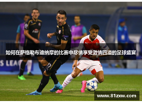 如何在萨格勒布迪纳摩的比赛中尽情享受激情四溢的足球盛宴