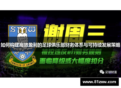如何构建高效盈利的足球俱乐部财务体系与可持续发展策略